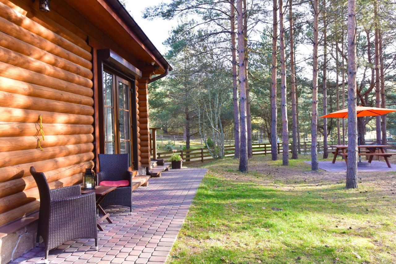 D&A Baltic Beach Villa Jurmalciems Extérieur photo
